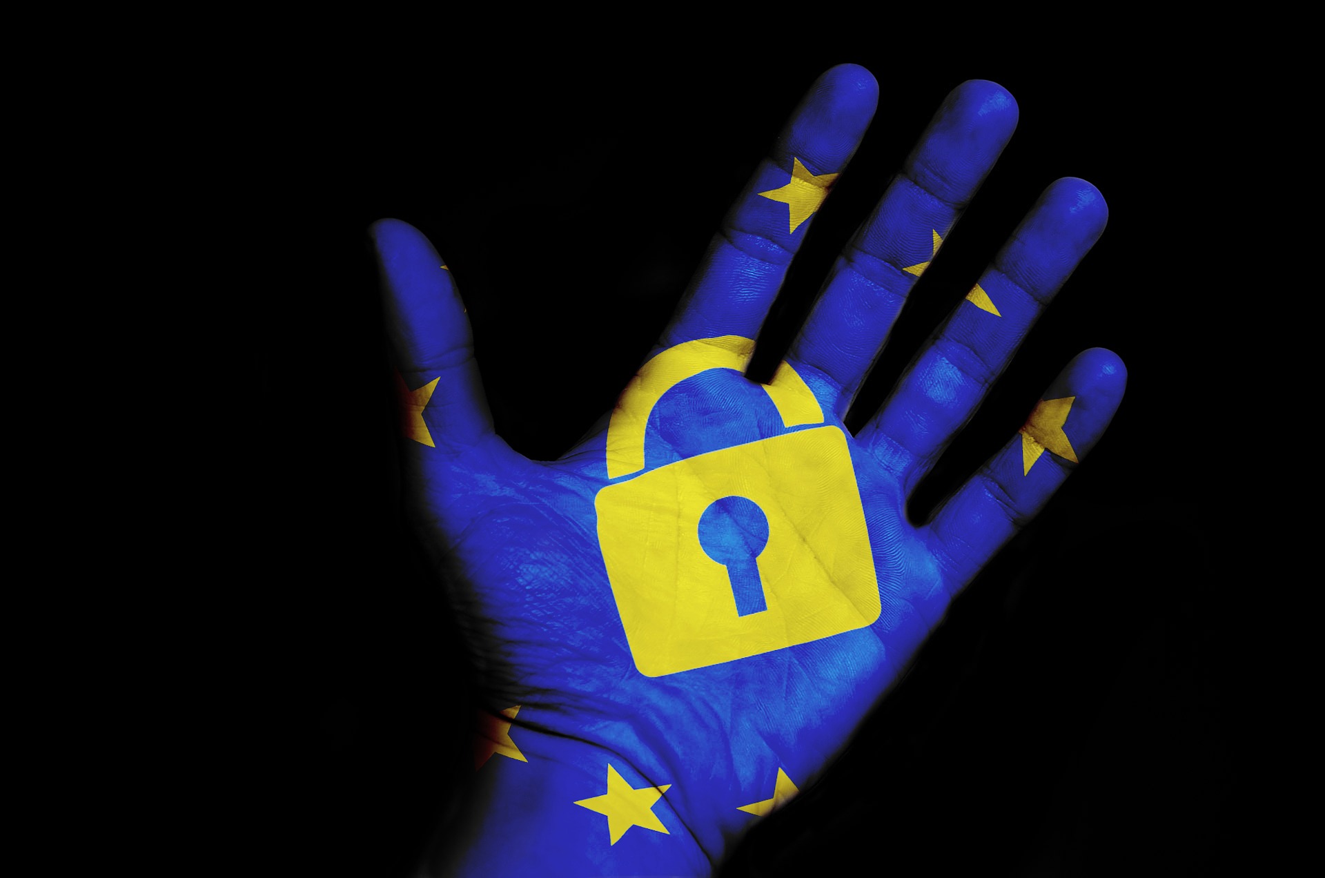 Hand Painted with European Flag in blue and yellow with a yellow padlock